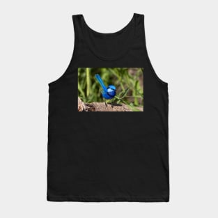 Splendid Fairy Wren (Male) Western Australia Tank Top